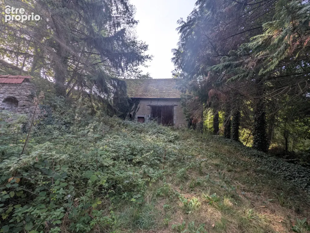 Pays de Tronçais maisonnette isolée en bord de ruisseau - photo 3