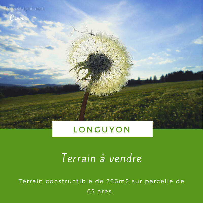 Terrain à LONGUYON
