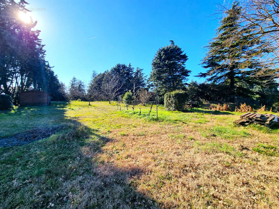 Terrain à CASTANET-TOLOSAN