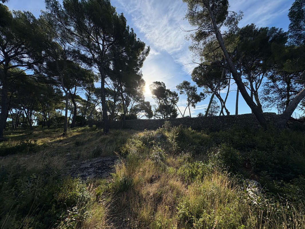 Terrain à OLLIOULES