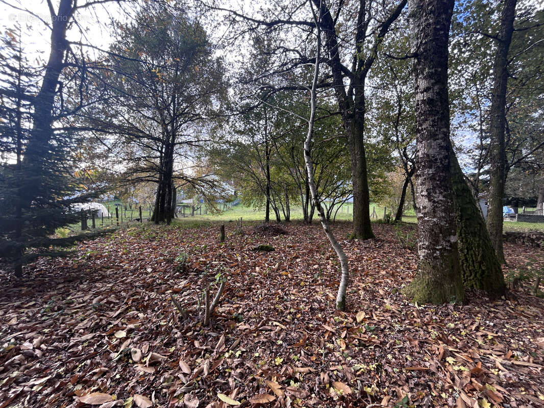 Terrain à SAINT-PRIVAT