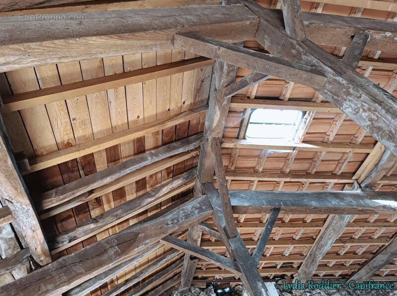 Maison de maître de 10 pièces avec terrain RARE à Thiers (63300) - photo 19