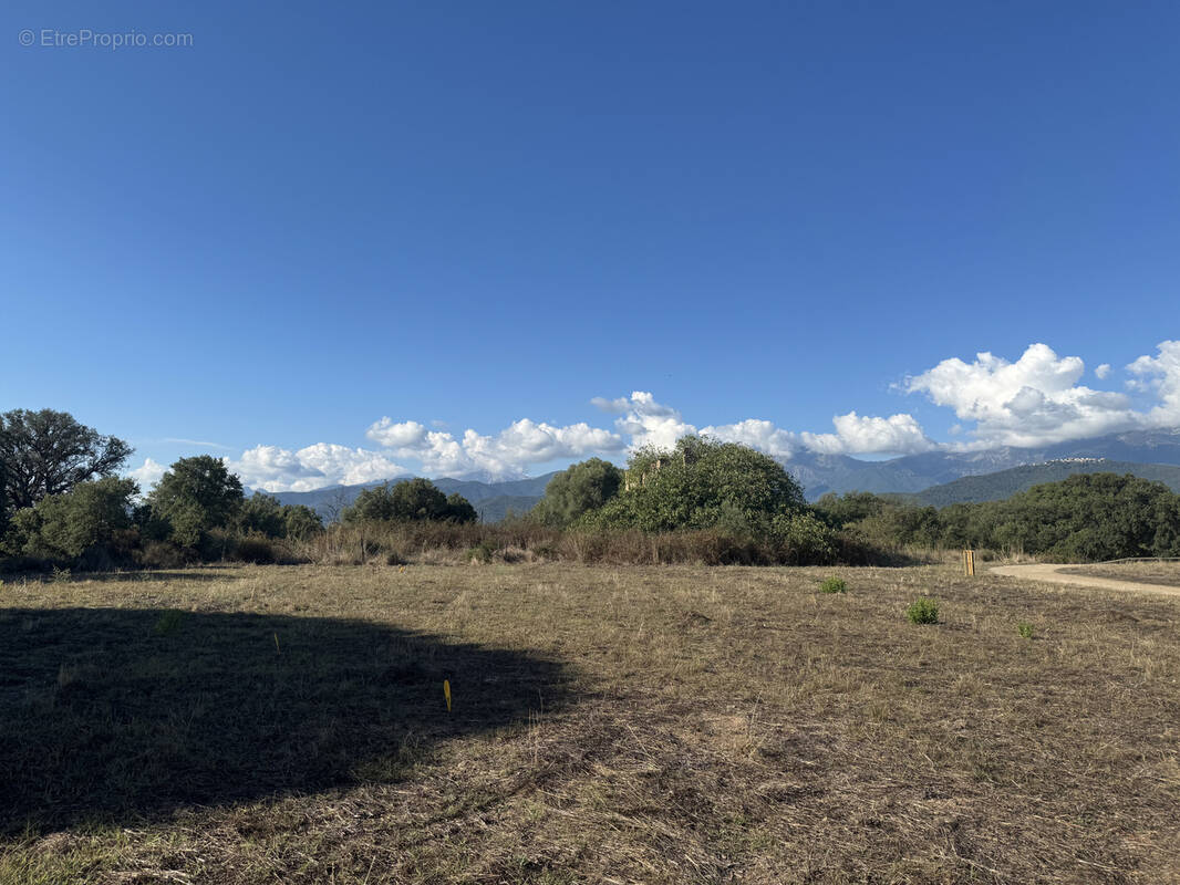 Terrain à GHISONACCIA