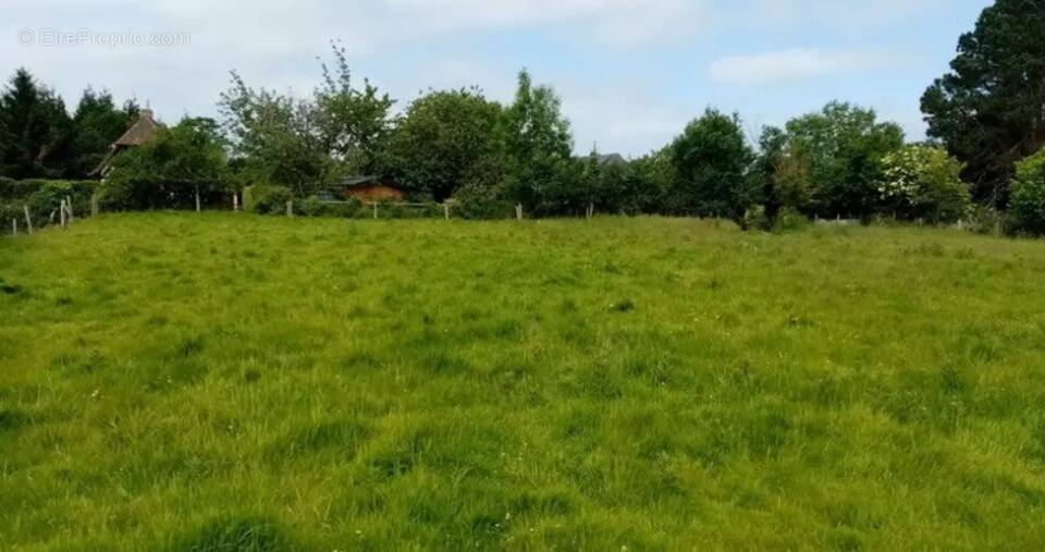 Terrain à VEULES-LES-ROSES