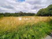 Photo 1 - Terrain à BENAIS