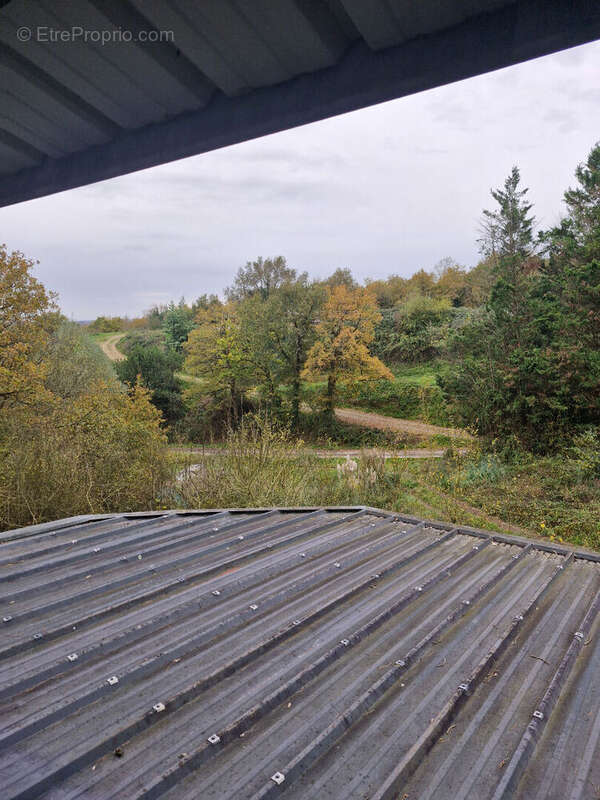 Maison à THOUARE-SUR-LOIRE