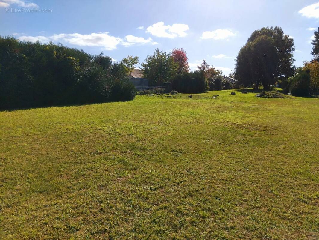 Terrain à SAINT-LAURENT-NOUAN