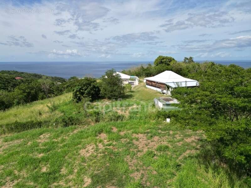 Terrain à LE CARBET