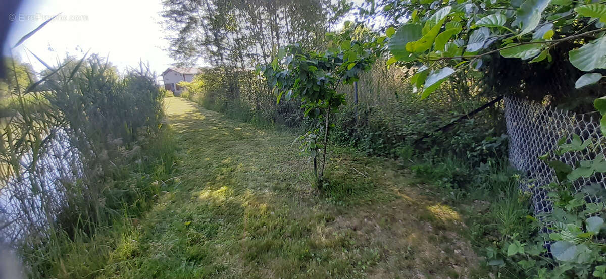 Joli étang vidangeable 1ha - photo 5