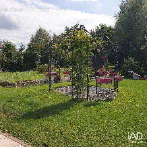 Photo 5 - Maison à MOMMENHEIM