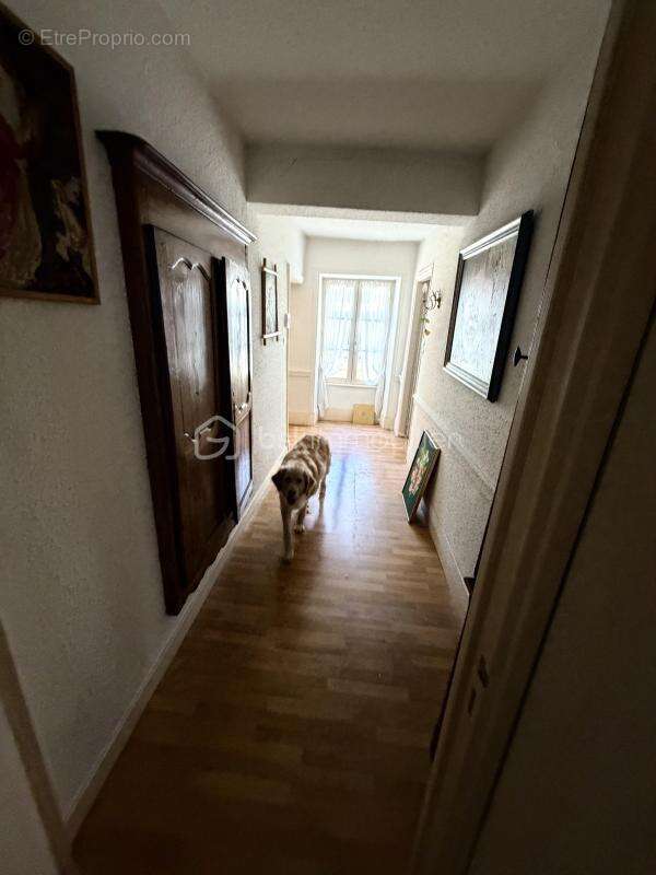 Appartement à RENAISON