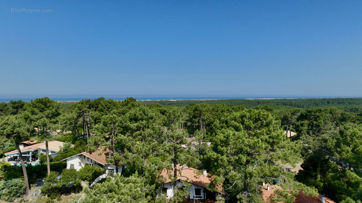 Maison à LEGE-CAP-FERRET