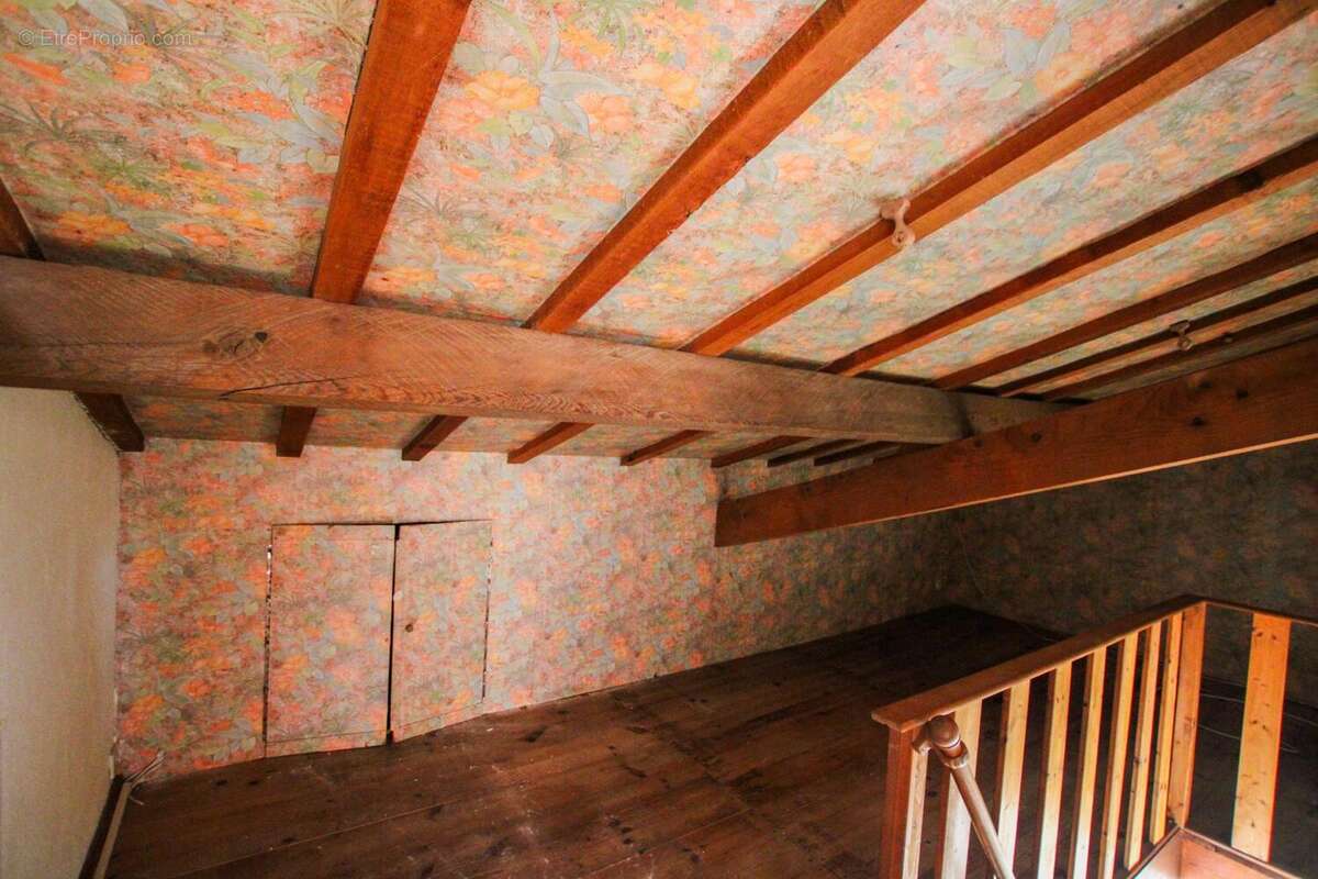 Photo 7 - Maison à SAINT-CIERS-SUR-GIRONDE