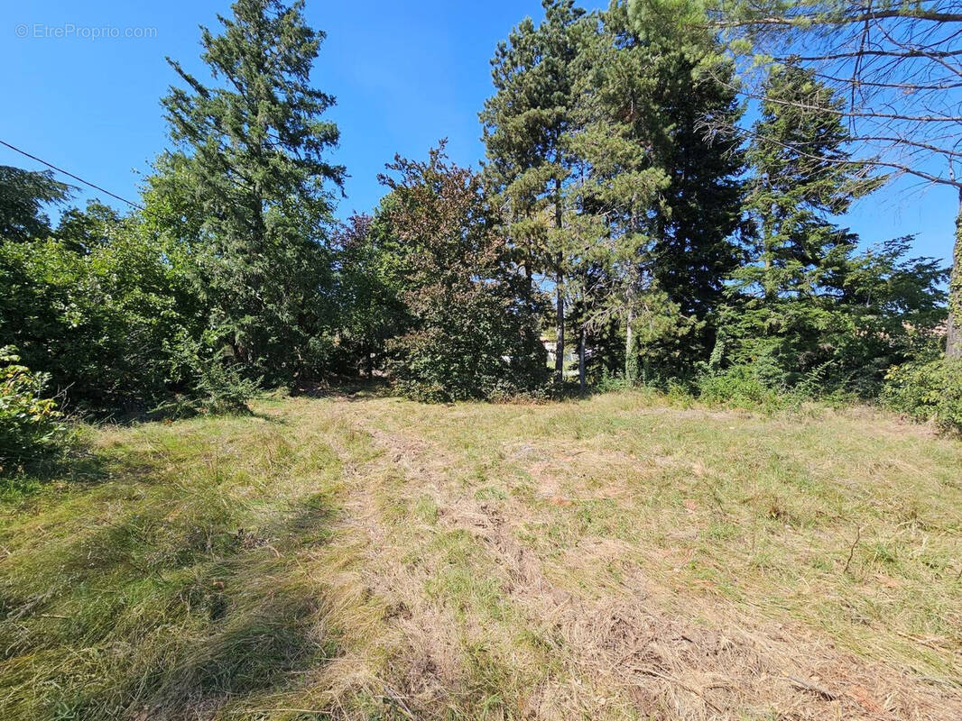 Terrain à GENISSIEUX