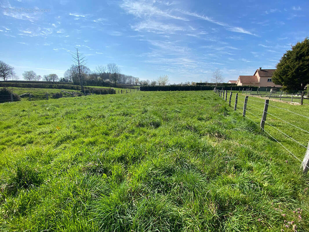 Terrain à SAINT-LEGER-LES-PARAY