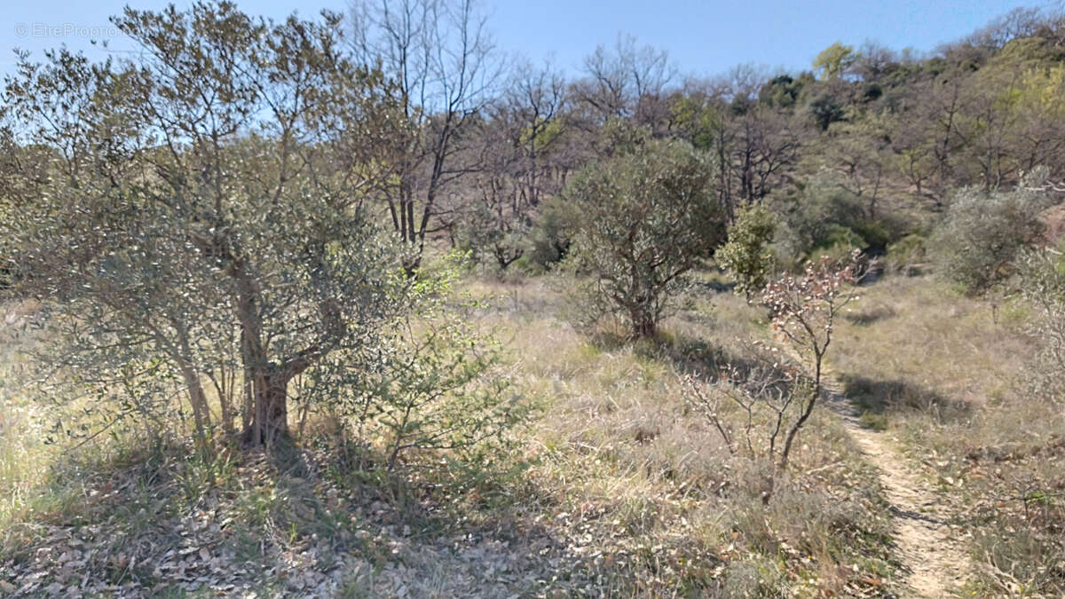 Terrain à MALIJAI