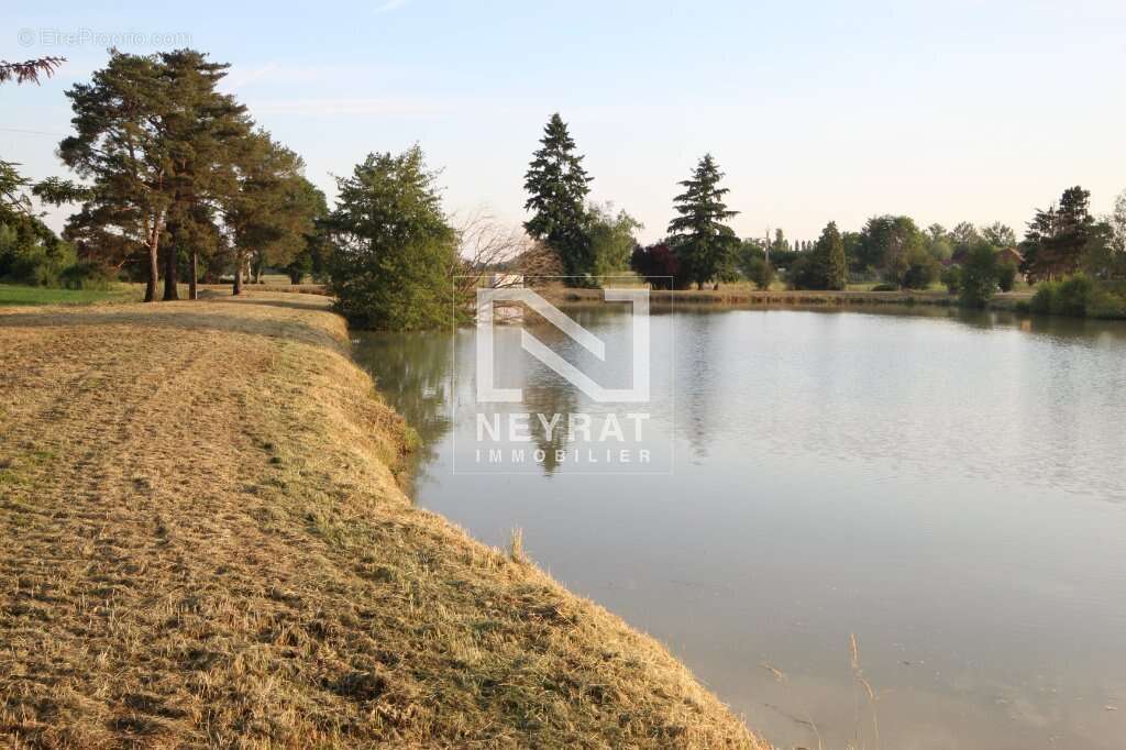 Etang avec sources - photo 14