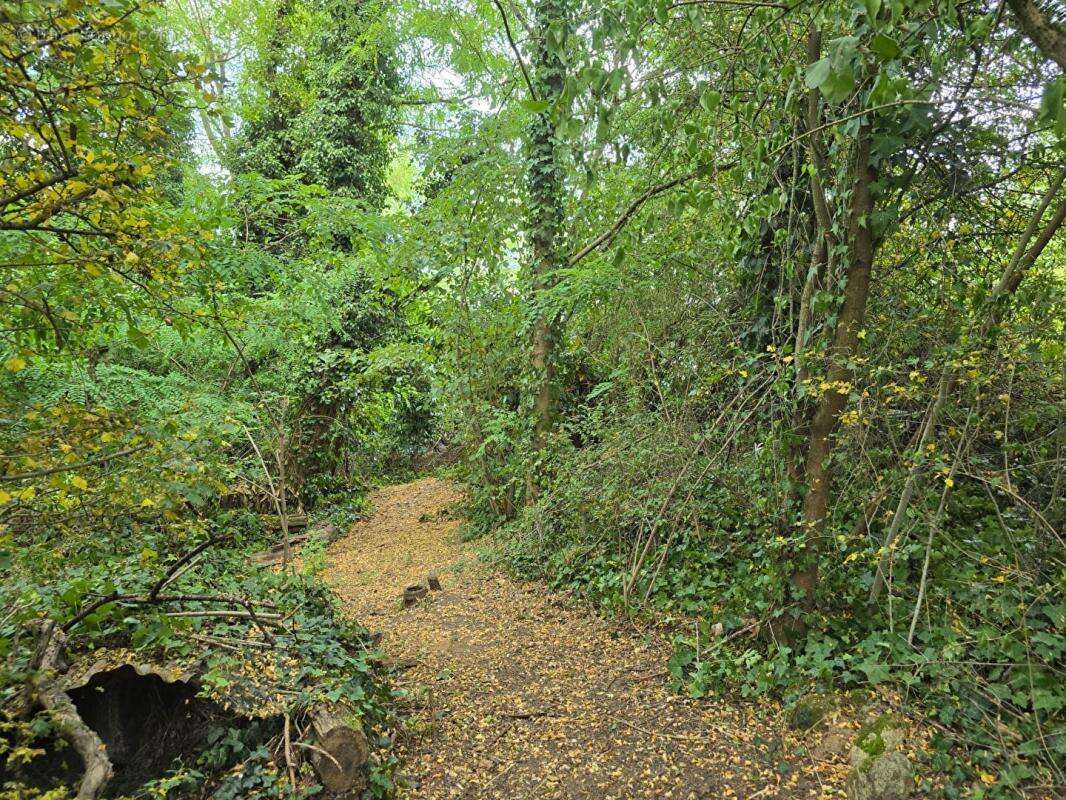 Terrain Palaiseau 853m² - possibilité création maison 140m² environ - photo 10