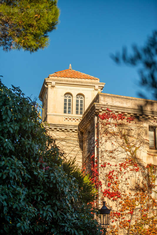 Maison à MONTPELLIER