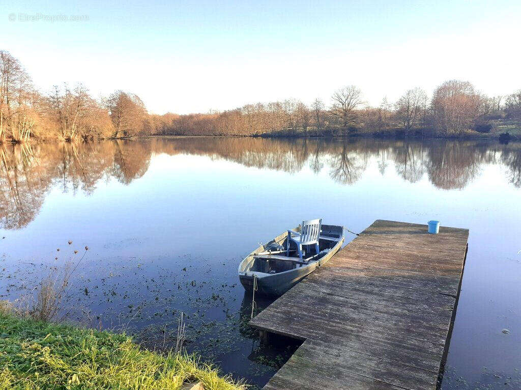LAC - Maison à ASNIERES-SUR-BLOUR