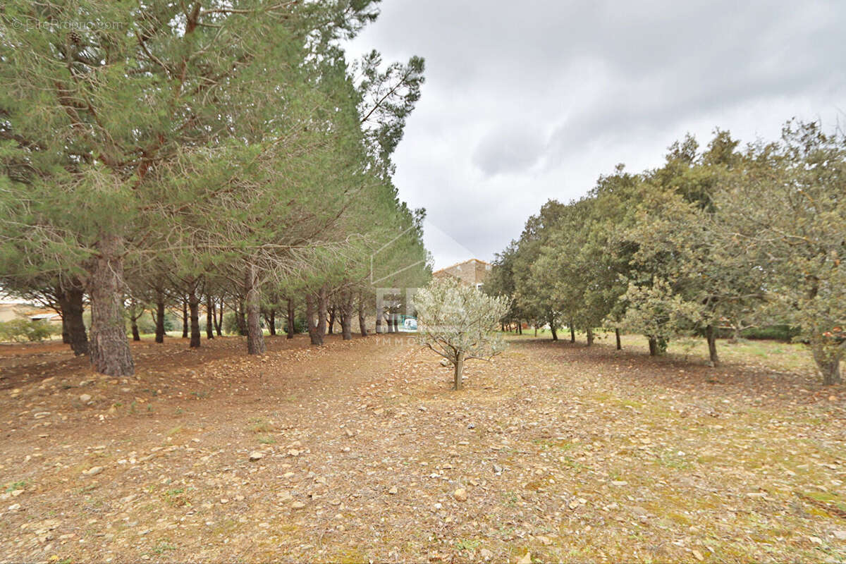 Maison 105m² à laure-minervois - photo 15