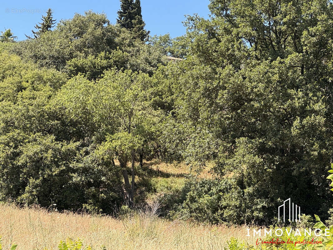 Terrain à MURVIEL-LES-MONTPELLIER