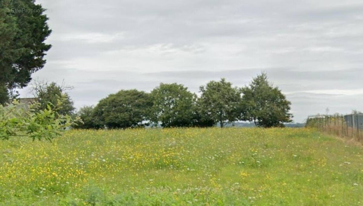 Photo 1 - Terrain à SION-LES-MINES