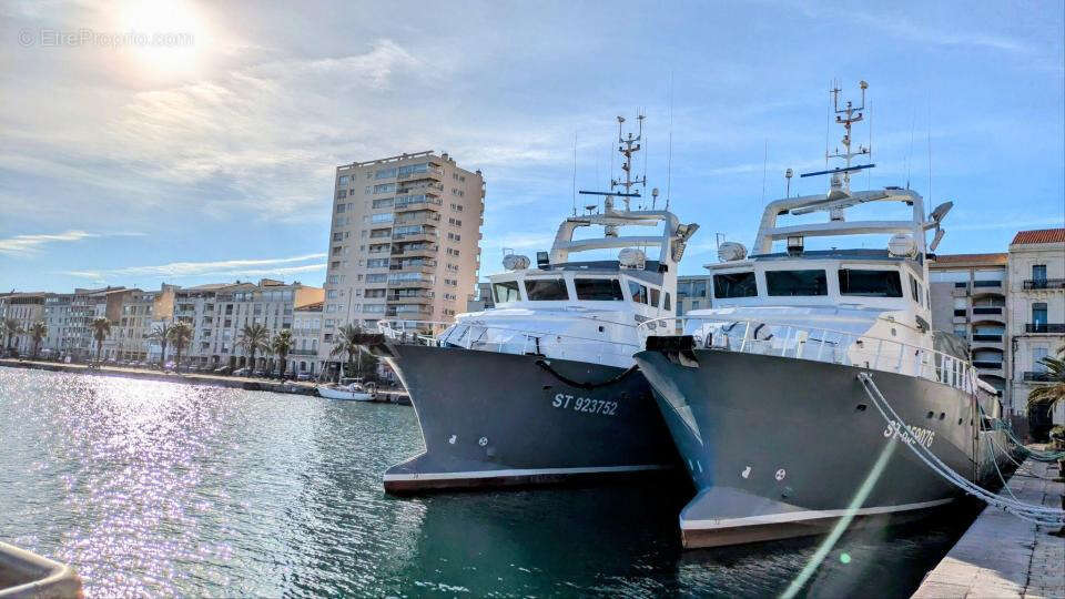 SÈTE (34) — Appartement Haussmannien XIX siècle de 254 m2 avec vue mer panoramique - photo 4