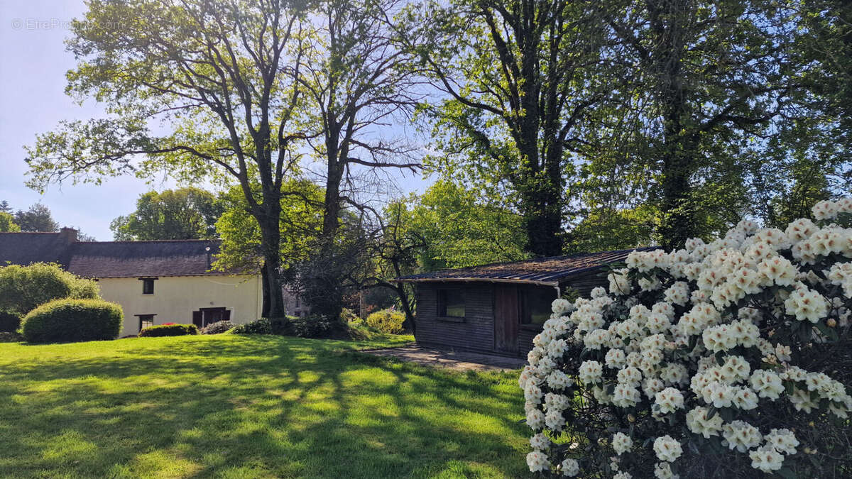 MORBIHAN Charmante maison de campagne de 4 chambres, 2 salles de bains, grand jardin, terrasse, parking - photo 4