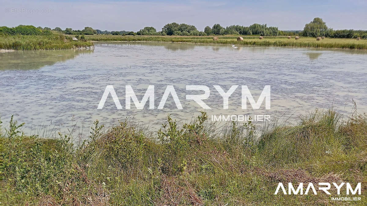 Terrain à CAYEUX-SUR-MER