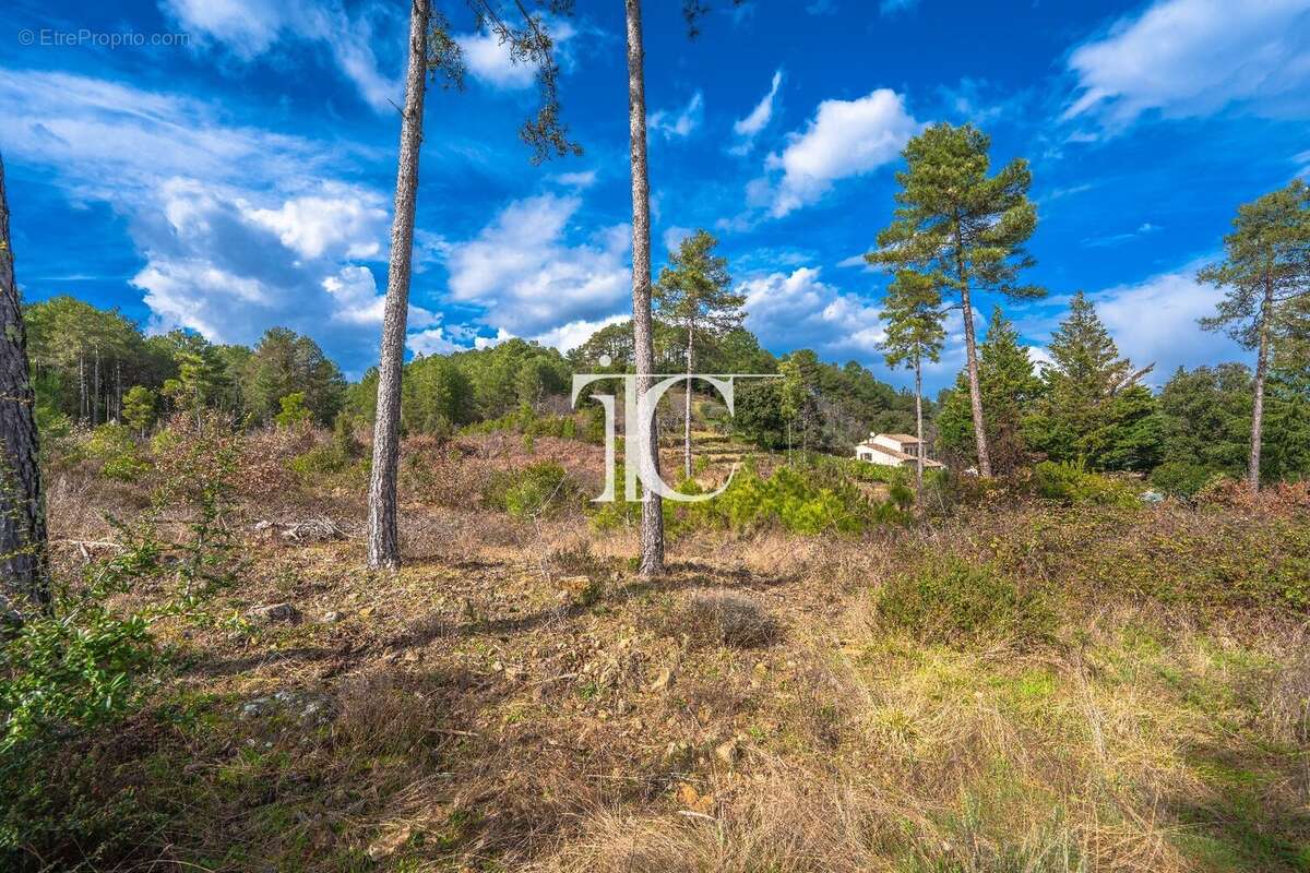 Terrain 9650m² situe plein sud - photo 3