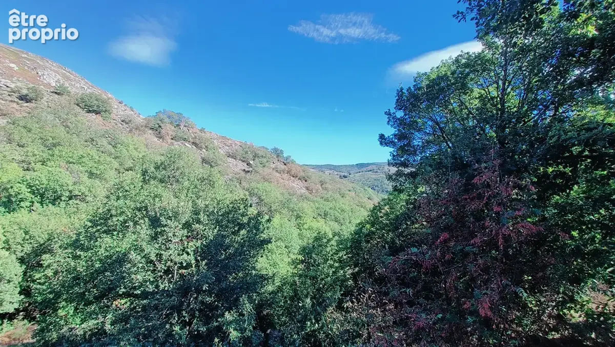 Maison au pied du mont Aigoual , Au coeur des Cévennes. - photo 18
