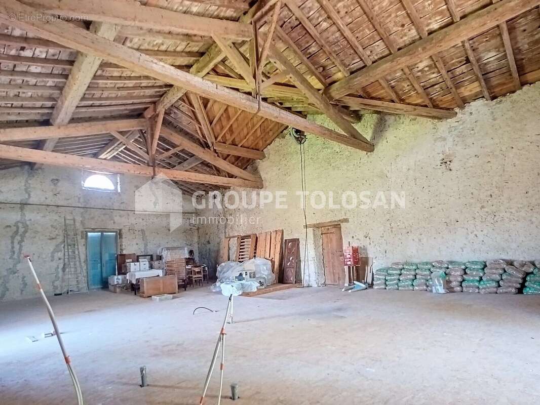 Revel secteur - photo 20