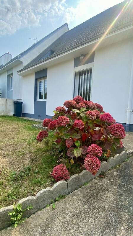 Maison 84 m² à Groix  - photo 2