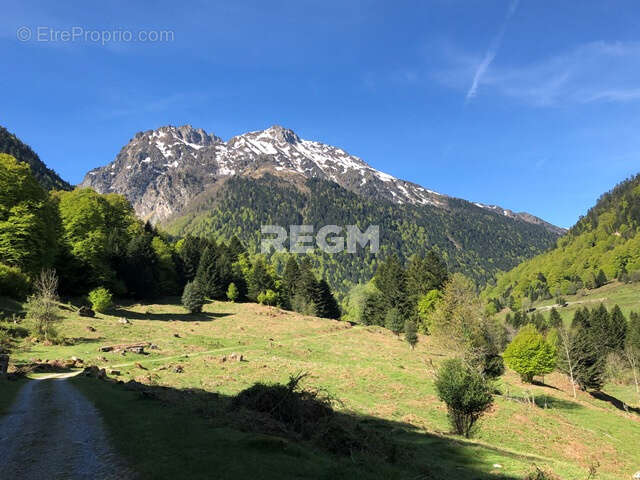 Commerce à BAGNERES-DE-BIGORRE
