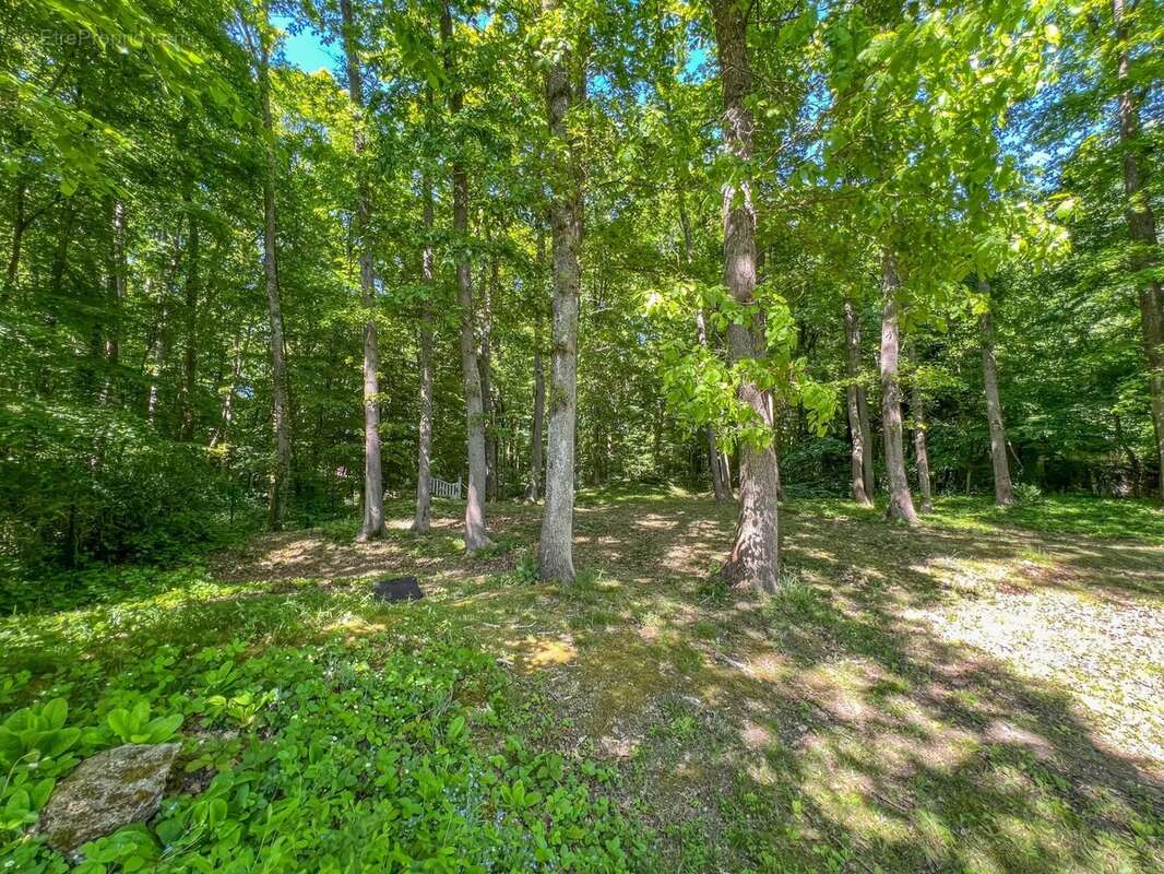 Maison à LE MESNIL-SAINT-DENIS