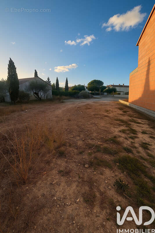 Photo 5 - Terrain à LE SOLER