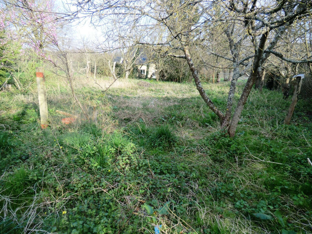 Terrain à SAINT-GEORGES-DE-CHESNE