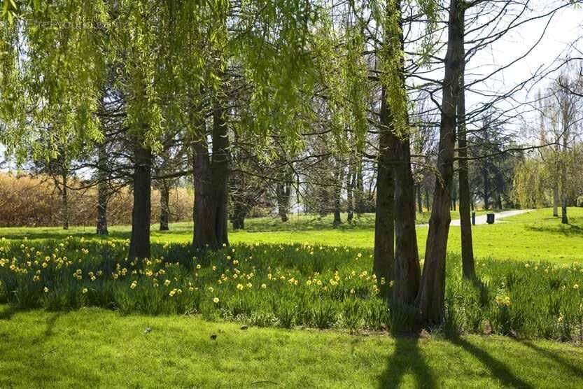 Appartement à VILLIERS-SUR-MARNE