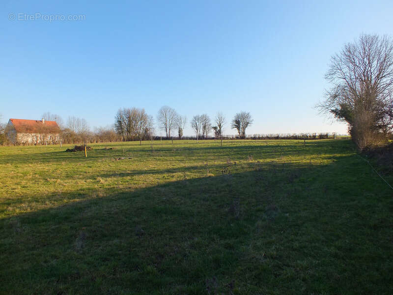 Dpt Côte d'Or (21), à vendre MUSIGNY terrain - Terrain de 5 990,00 m² - photo 3