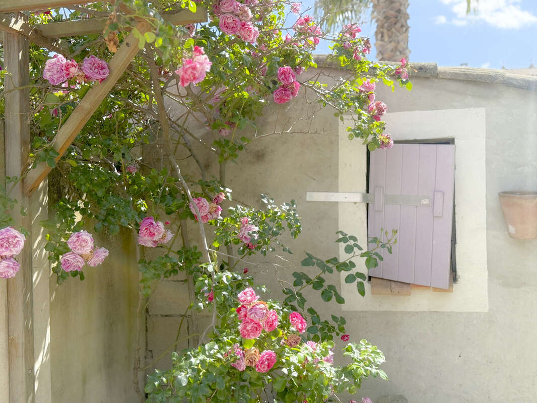 Villa de charme f6 avec piscine au coeur de la camargue - photo 16