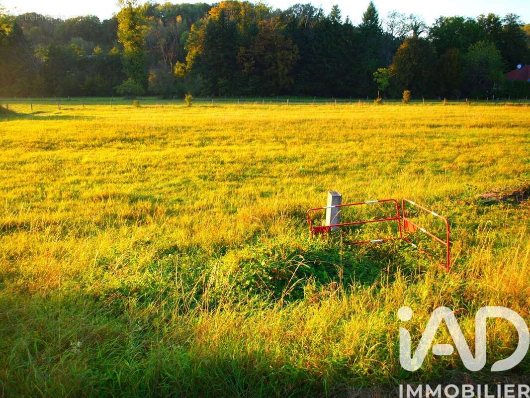 Photo 4 - Terrain à FOUCHECOURT