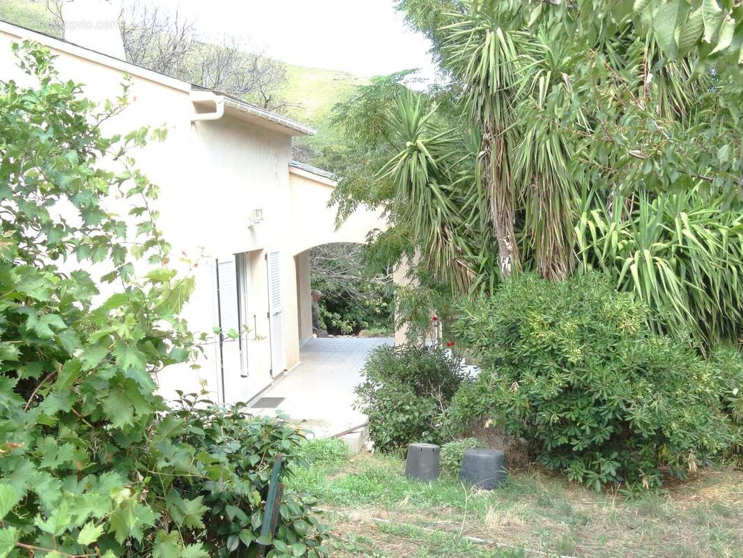 façade vue de la bergerie - Maison à SISCO