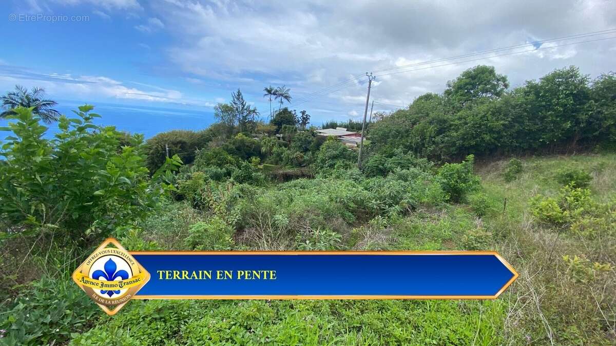 Terrain à LES TROIS-BASSINS