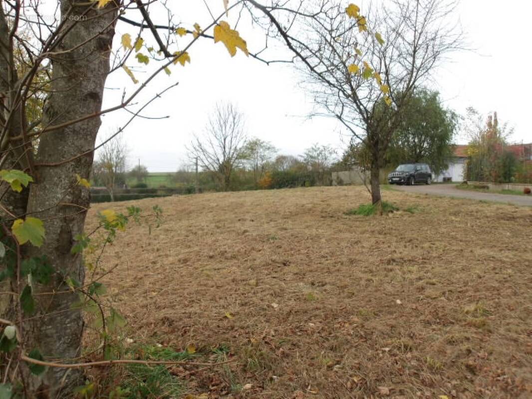 Terrain à GOERLINGEN