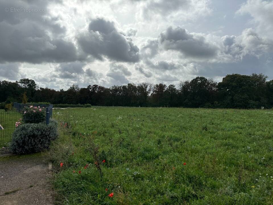 Terrain à OTTANGE