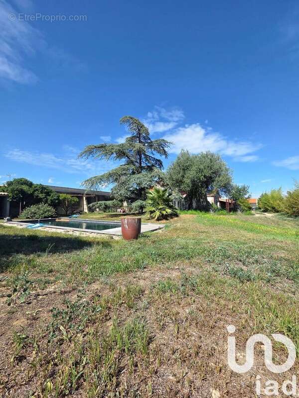 Photo 4 - Maison à PIA