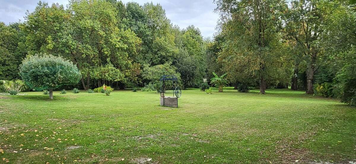 Maison à COURCELLES