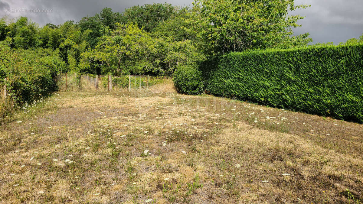 Maison à MESVES-SUR-LOIRE