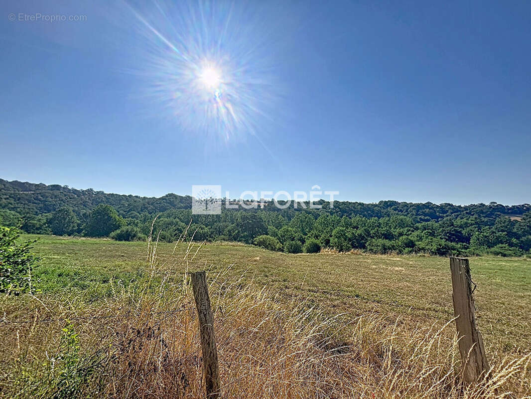 15min de falaise - photo 5